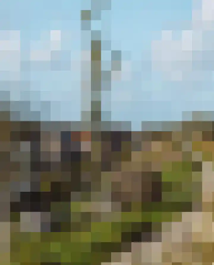 Pluis 26 Maassluis thumbnail 52