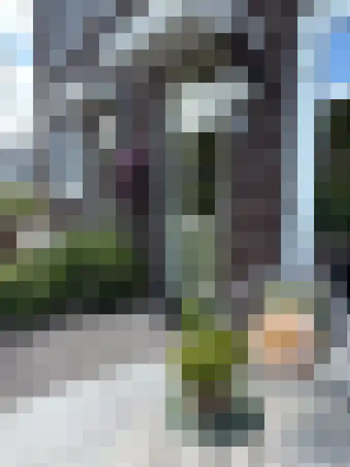 Pluis 26 Maassluis thumbnail 58