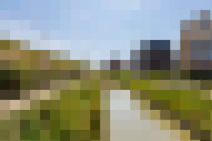 Pluis 26 Maassluis thumbnail 6