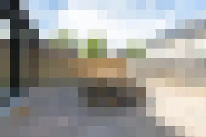 Pluit 10 Zuidhorn thumbnail 18