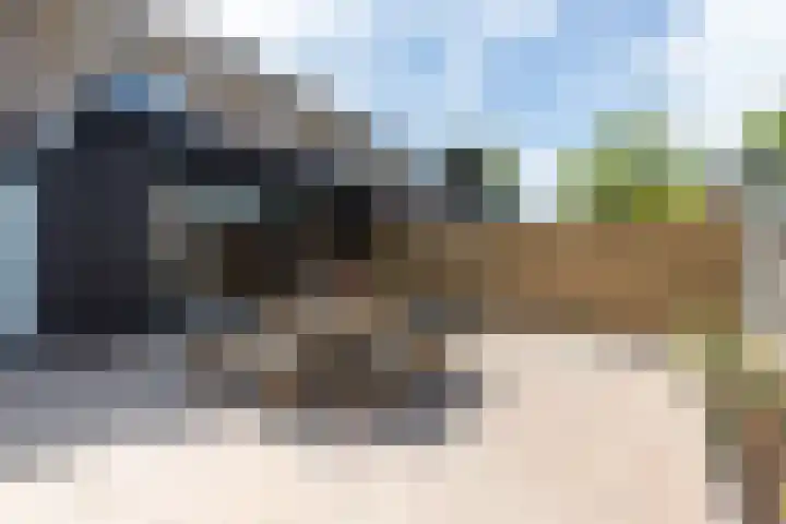 Pluit 10 Zuidhorn thumbnail 20