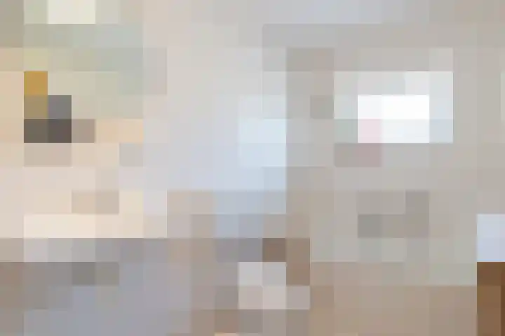 Pluit 10 Zuidhorn thumbnail 28