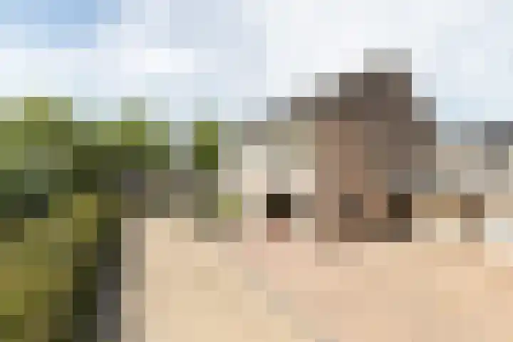 Pluit 10 Zuidhorn thumbnail 34