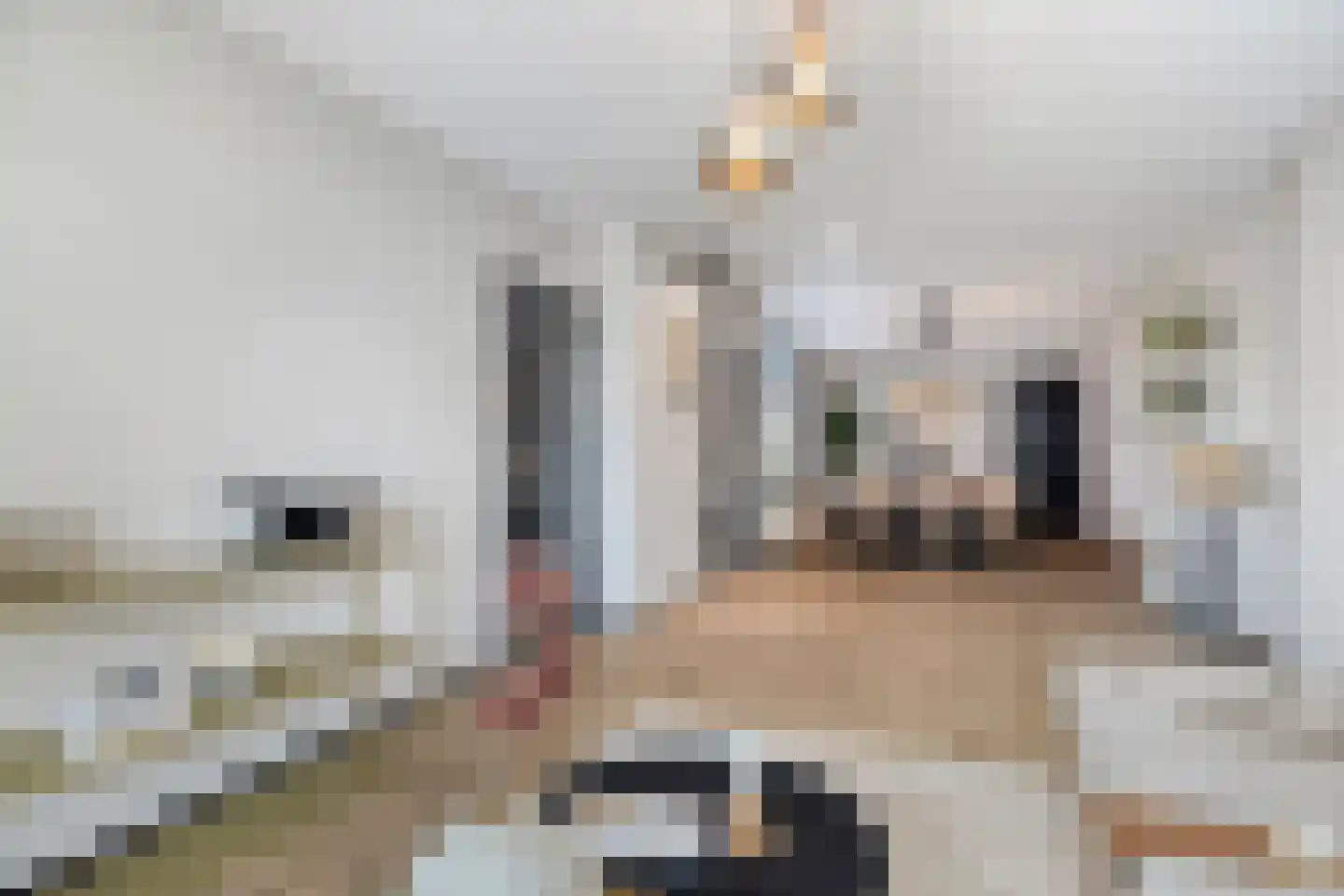 Plukmadestraat 13 Made thumbnail 7