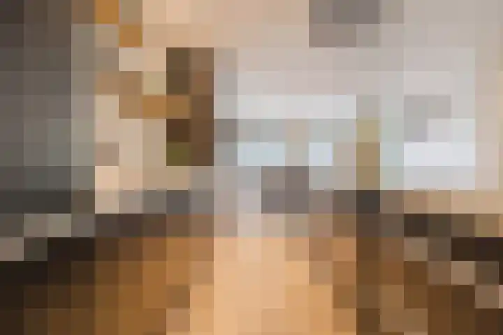 Plukmadestraat 17 Made thumbnail 24