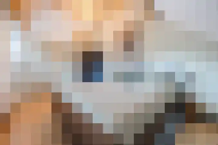 Plukmadestraat 17 Made thumbnail 30