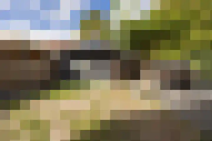 Plukmadestraat 17 Made thumbnail 42
