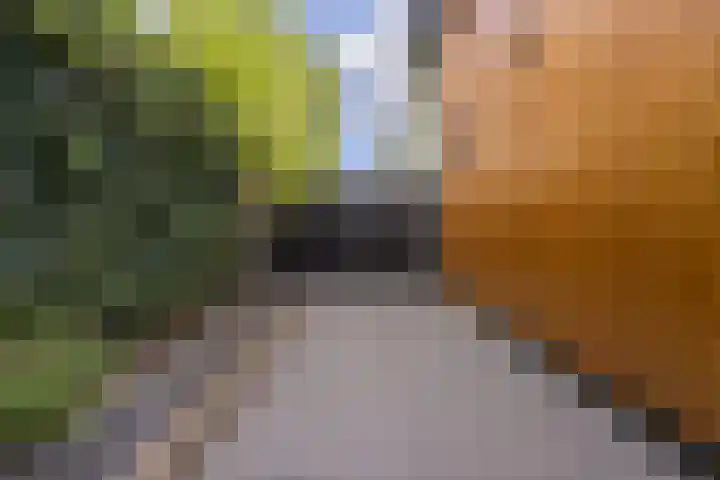 Plukmadestraat 17 Made thumbnail 44