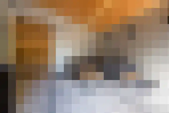 Plukmadestraat 17 Made thumbnail 47