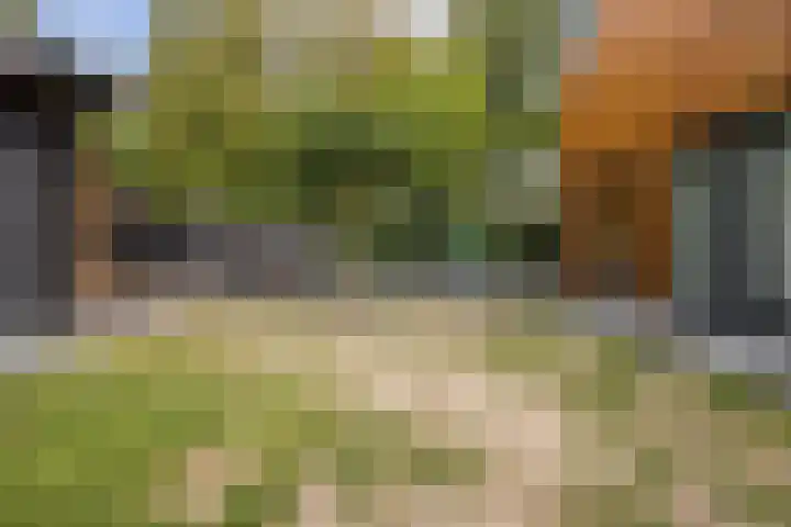 Plukmadestraat 17 Made thumbnail 51
