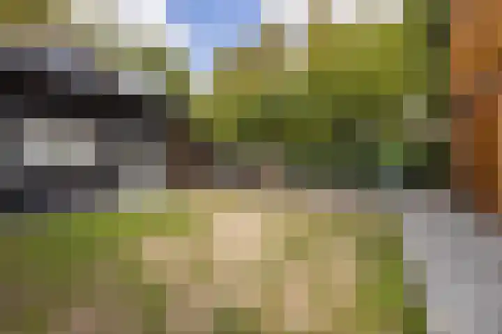 Plukmadestraat 17 Made thumbnail 52