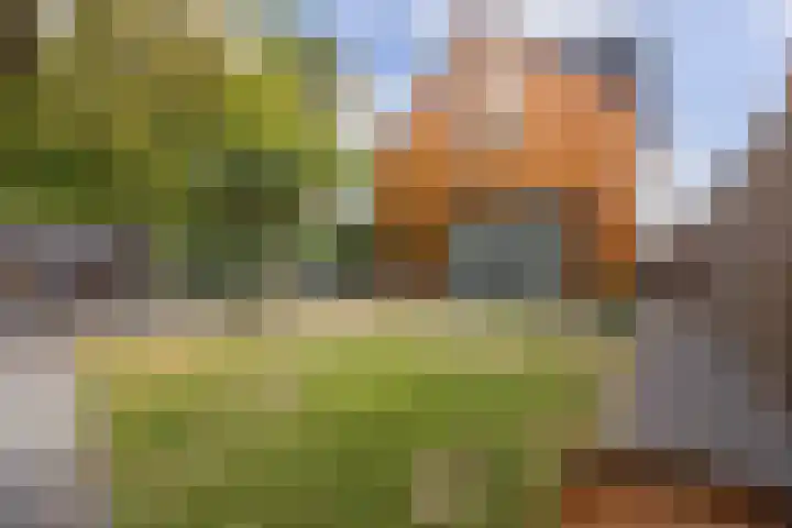 Plukmadestraat 17 Made thumbnail 53
