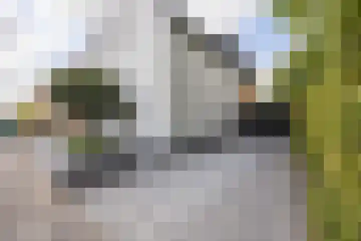 Plukmadestraat 17 Made thumbnail 6