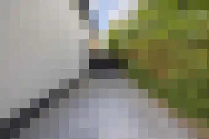 Plukmadestraat 17 Made thumbnail 7