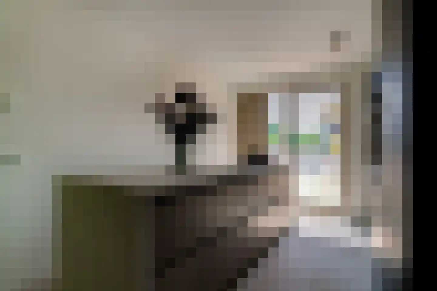 Pluktuin 4 Doetinchem thumbnail 18
