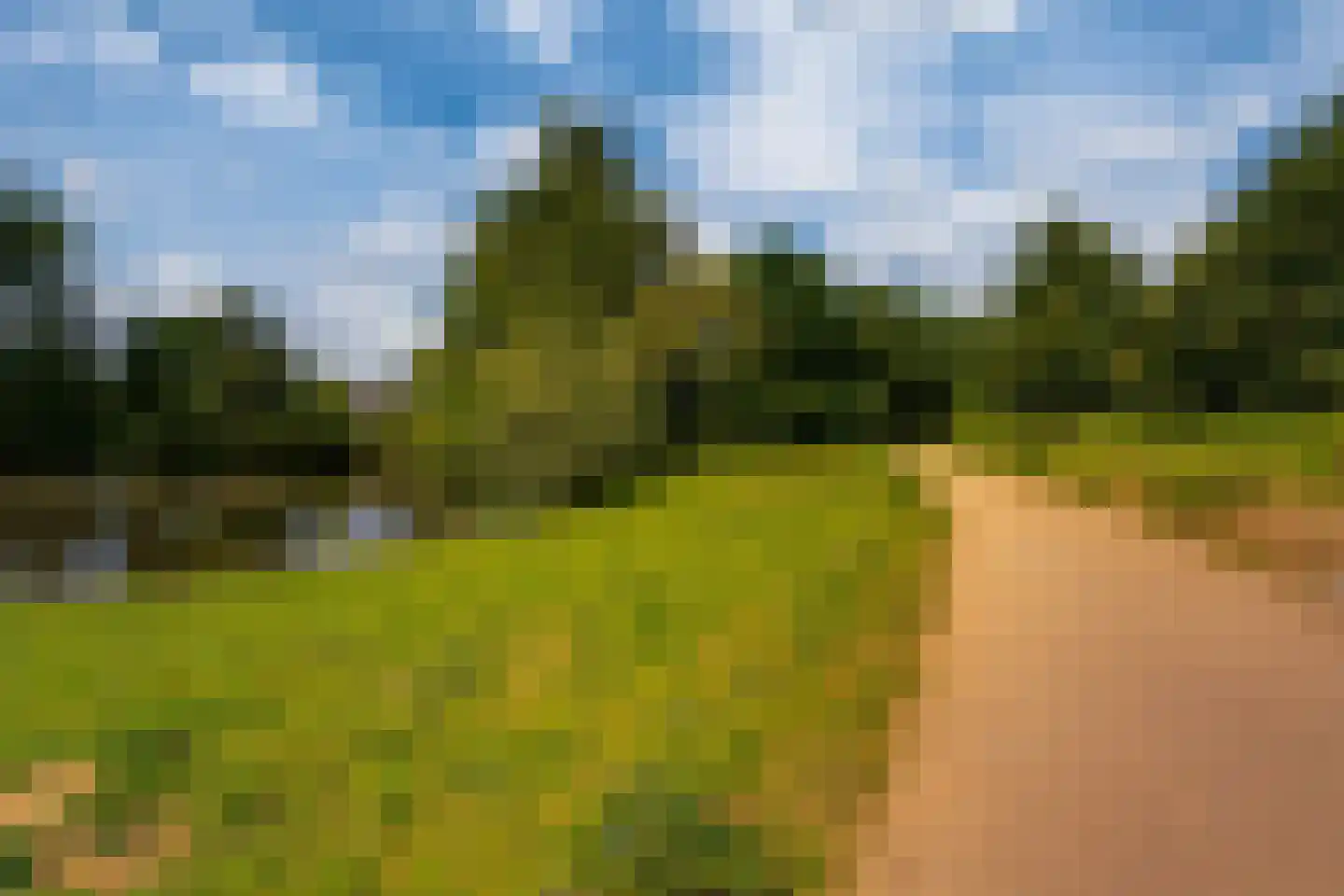 Pluktuin 4 Doetinchem thumbnail 43