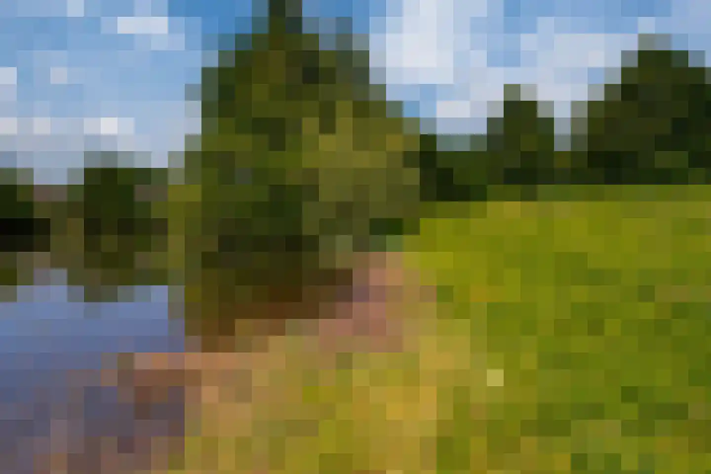 Pluktuin 4 Doetinchem thumbnail 45