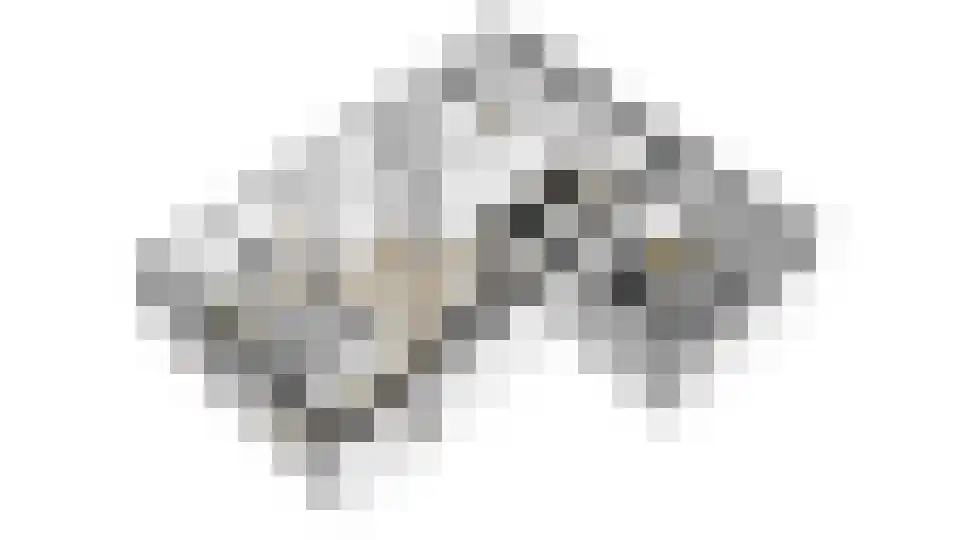 Pluktuin 4 Doetinchem thumbnail 48
