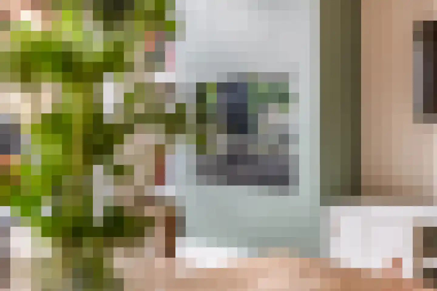 Pluto 10 Waddinxveen thumbnail 14