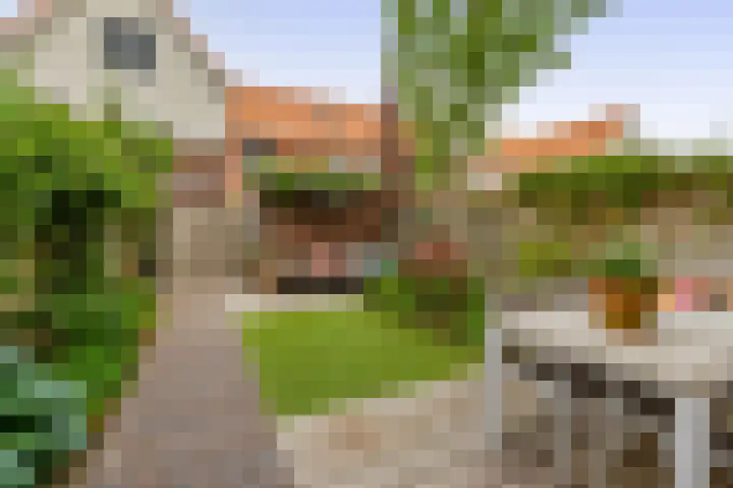 Pluto 10 Waddinxveen thumbnail 18