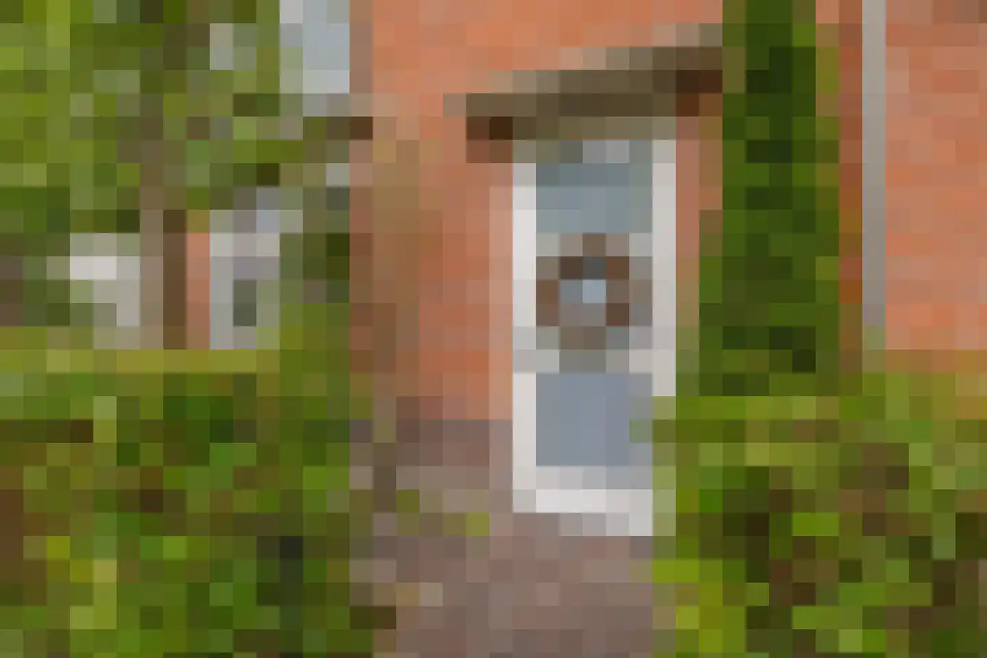 Pluto 10 Waddinxveen thumbnail 7
