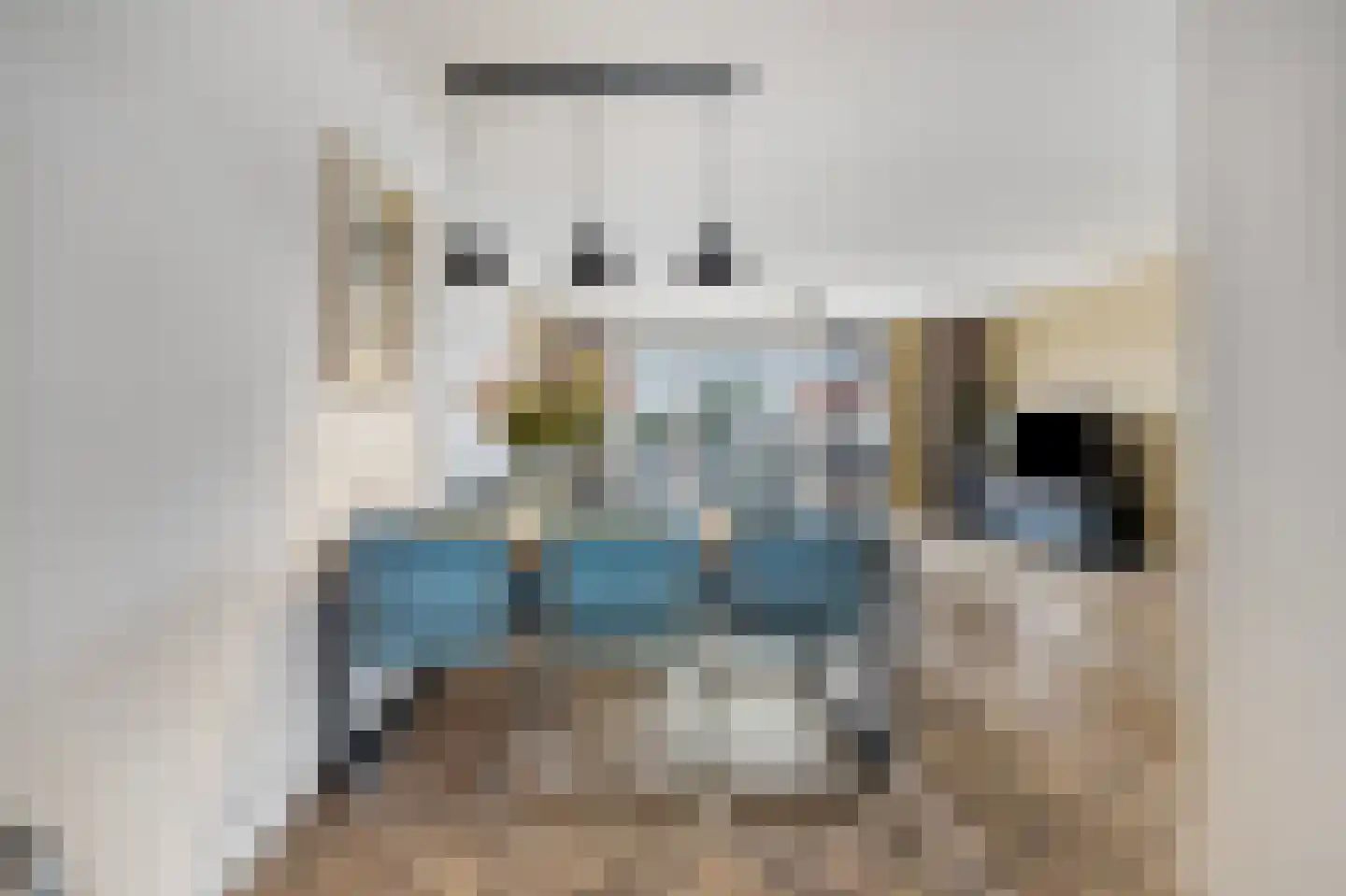 Pluto 134 Den Helder thumbnail 11