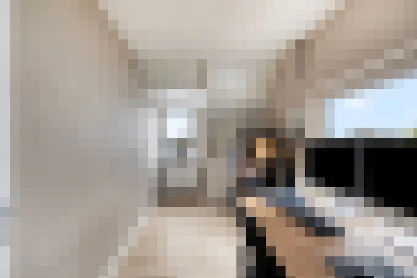 Pluto 134 Den Helder thumbnail 18