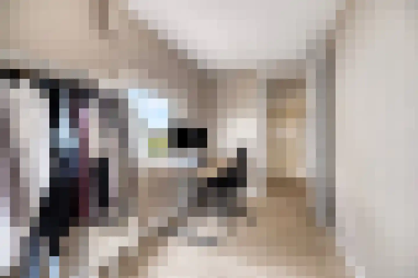 Pluto 134 Den Helder thumbnail 19