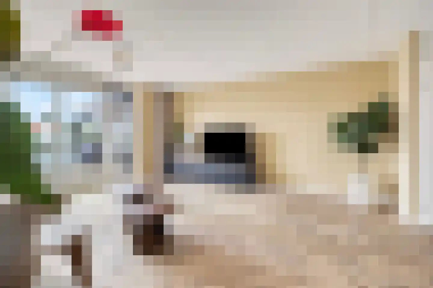 Pluto 134 Den Helder thumbnail 8