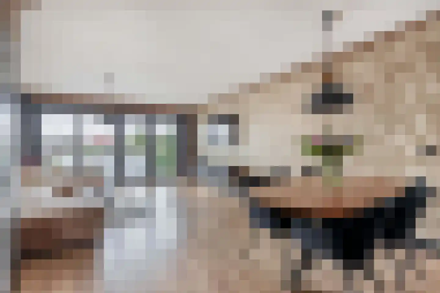 Pluto 153 Den Helder thumbnail 4
