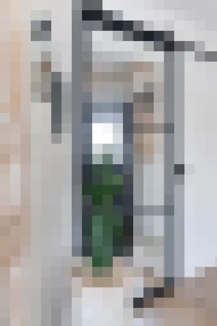 Pluto 162 Den Helder thumbnail 10
