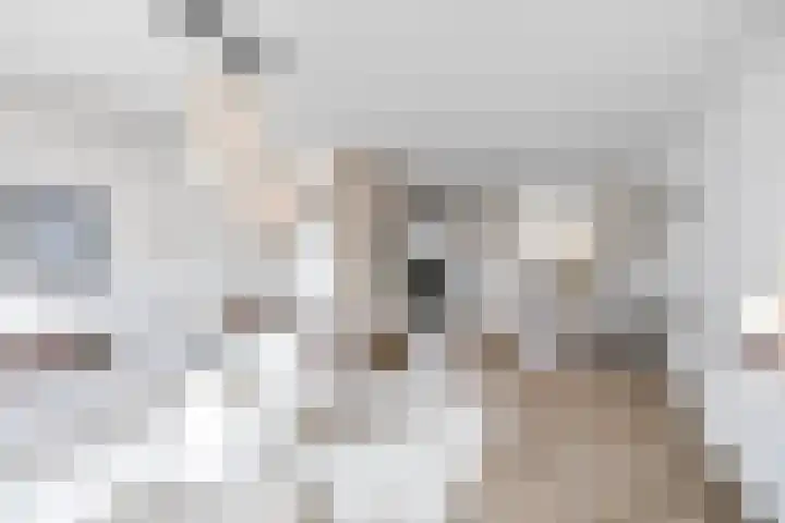 Pluto 162 Den Helder thumbnail 12