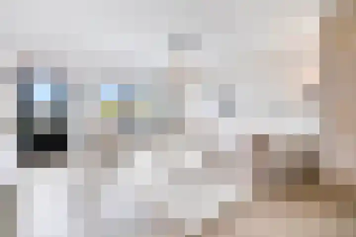 Pluto 162 Den Helder thumbnail 13