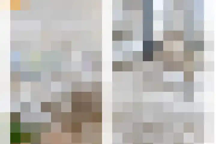 Pluto 162 Den Helder thumbnail 14