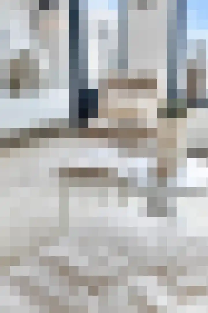 Pluto 162 Den Helder thumbnail 16