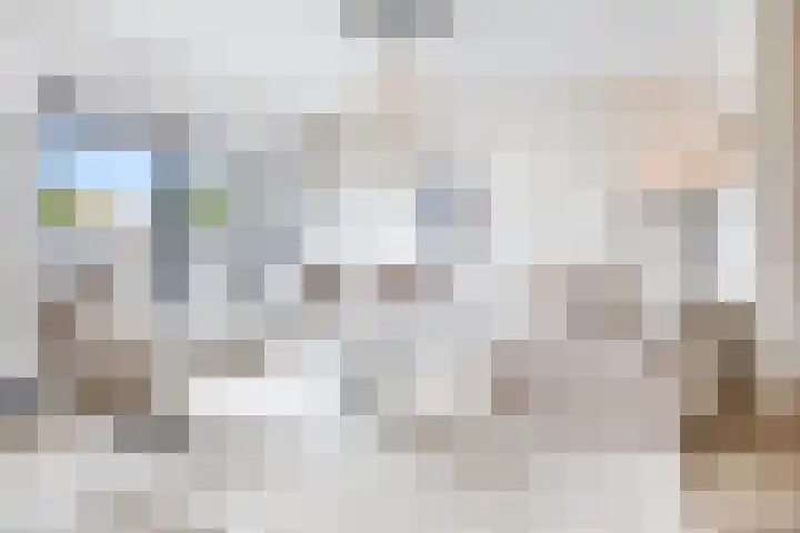 Pluto 162 Den Helder foto 2