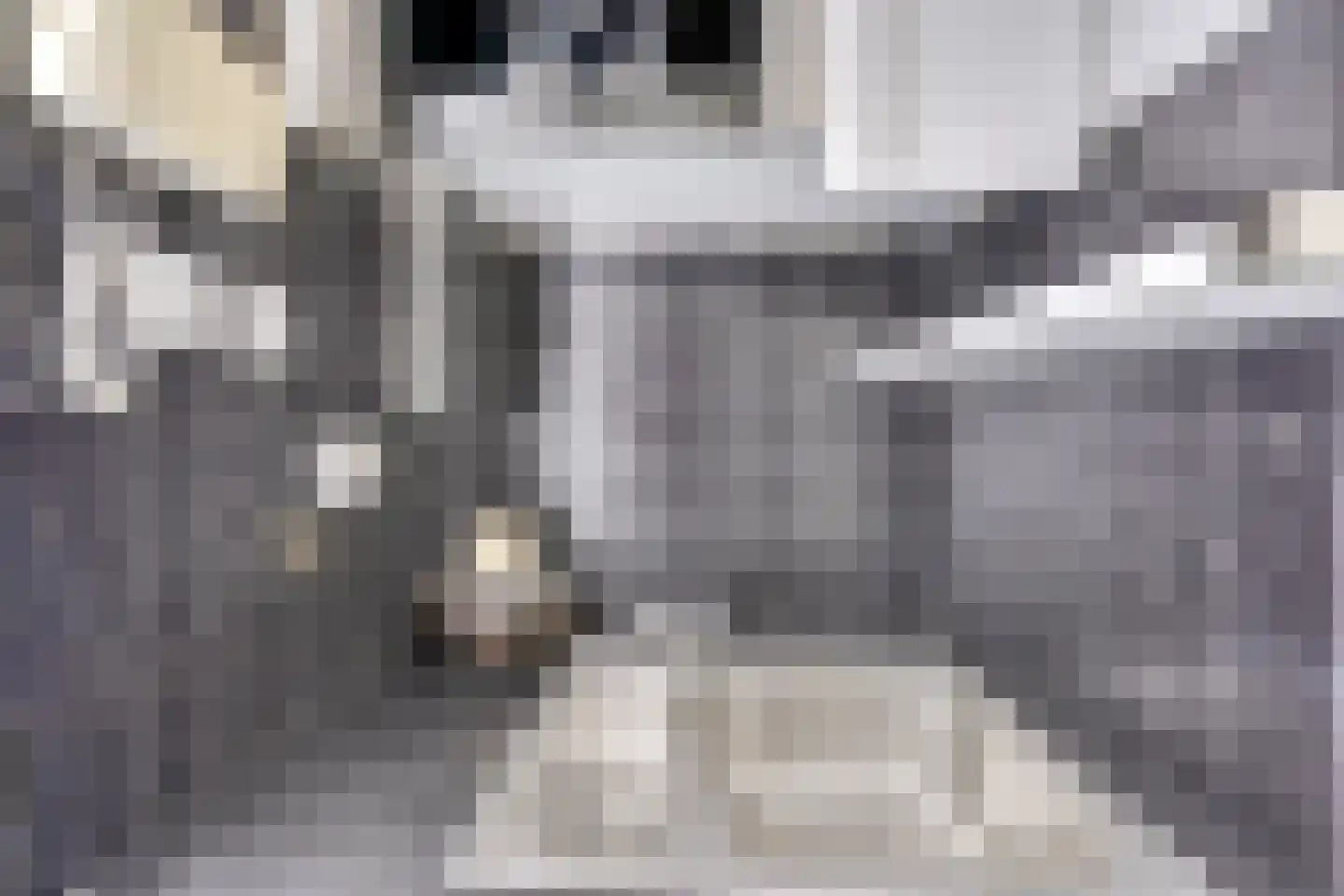 Pluto 162 Den Helder thumbnail 20