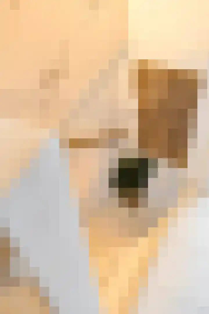 Pluto 162 Den Helder thumbnail 22