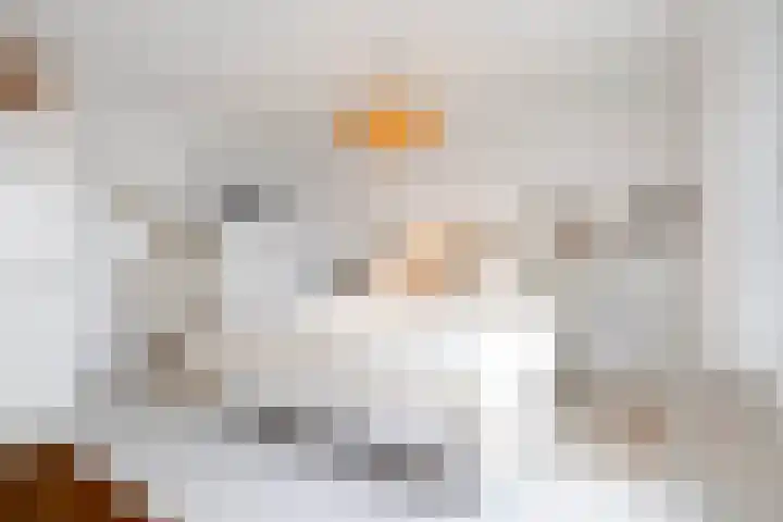 Pluto 162 Den Helder thumbnail 24