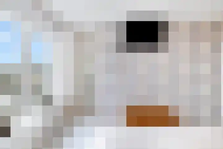 Pluto 162 Den Helder thumbnail 26