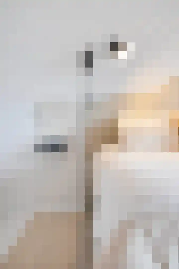 Pluto 162 Den Helder thumbnail 29