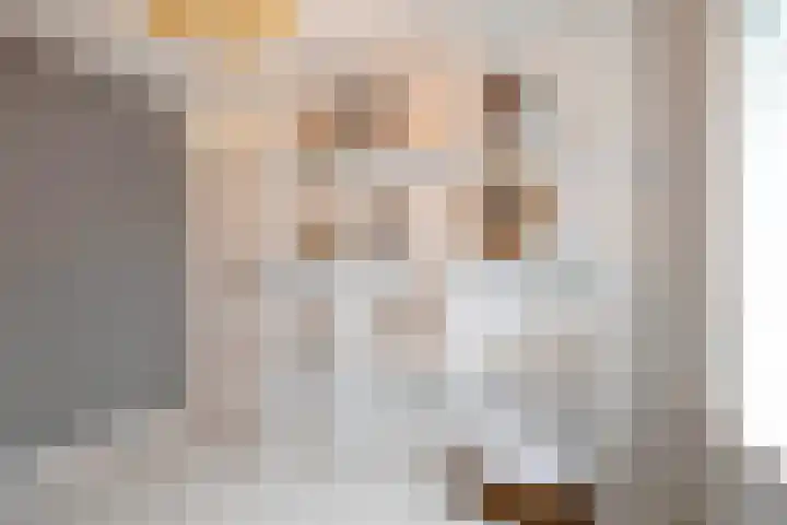 Pluto 162 Den Helder thumbnail 33