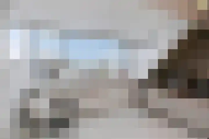 Pluto 162 Den Helder thumbnail 42