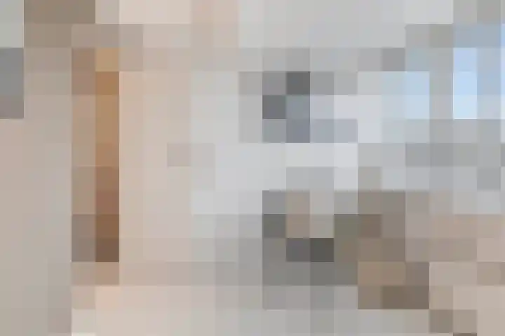 Pluto 162 Den Helder thumbnail 43