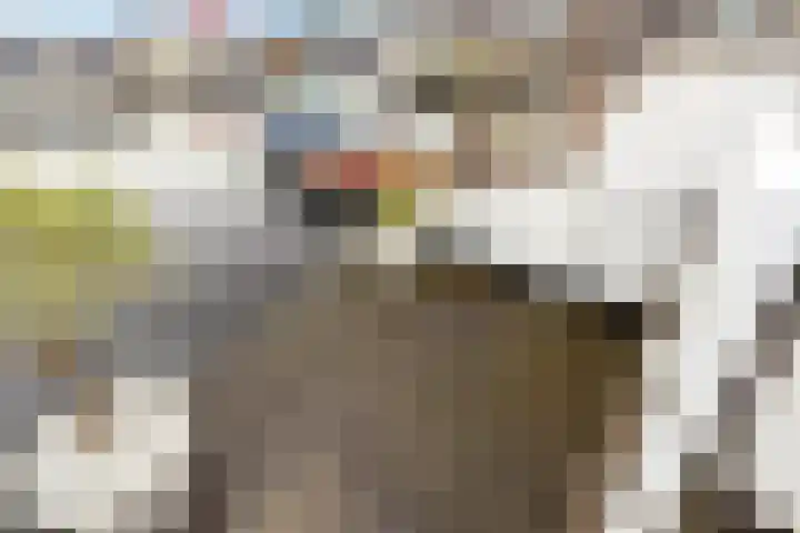 Pluto 162 Den Helder thumbnail 47