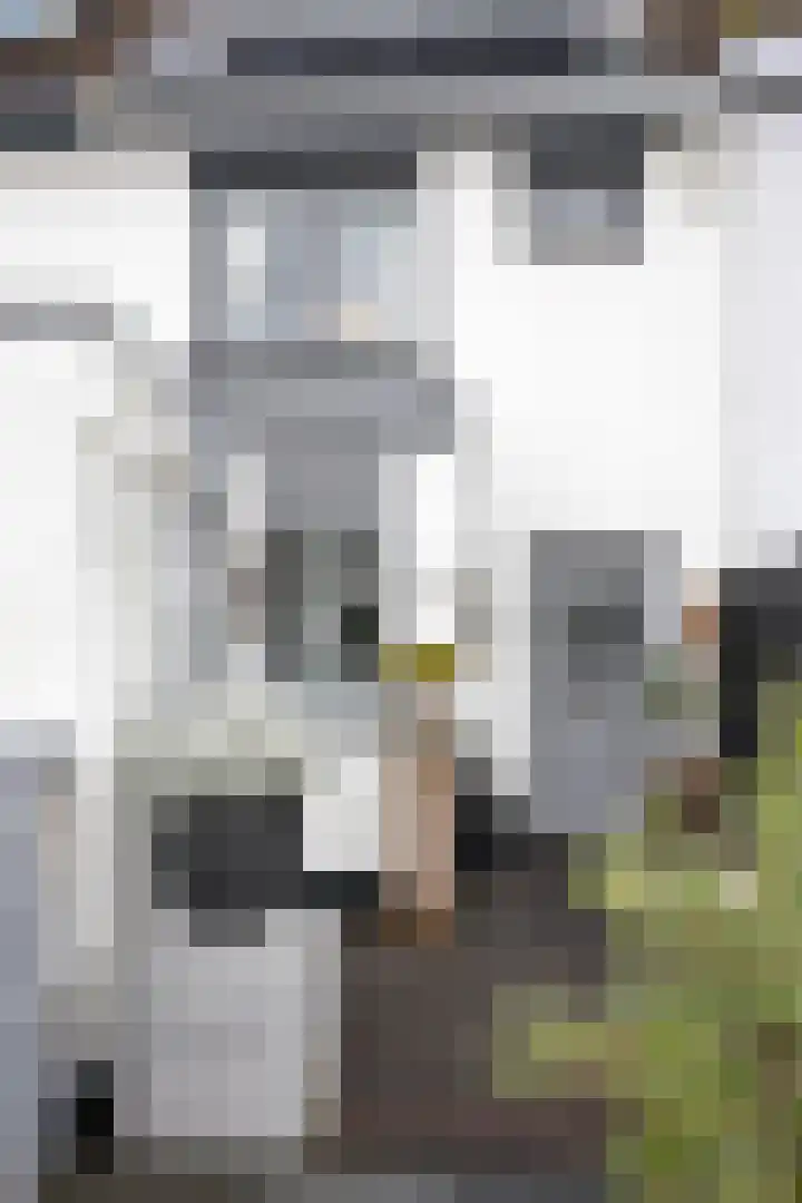 Pluto 162 Den Helder thumbnail 5