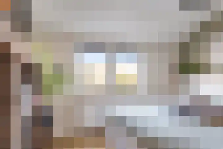 Pluto 200 Den Helder thumbnail 11