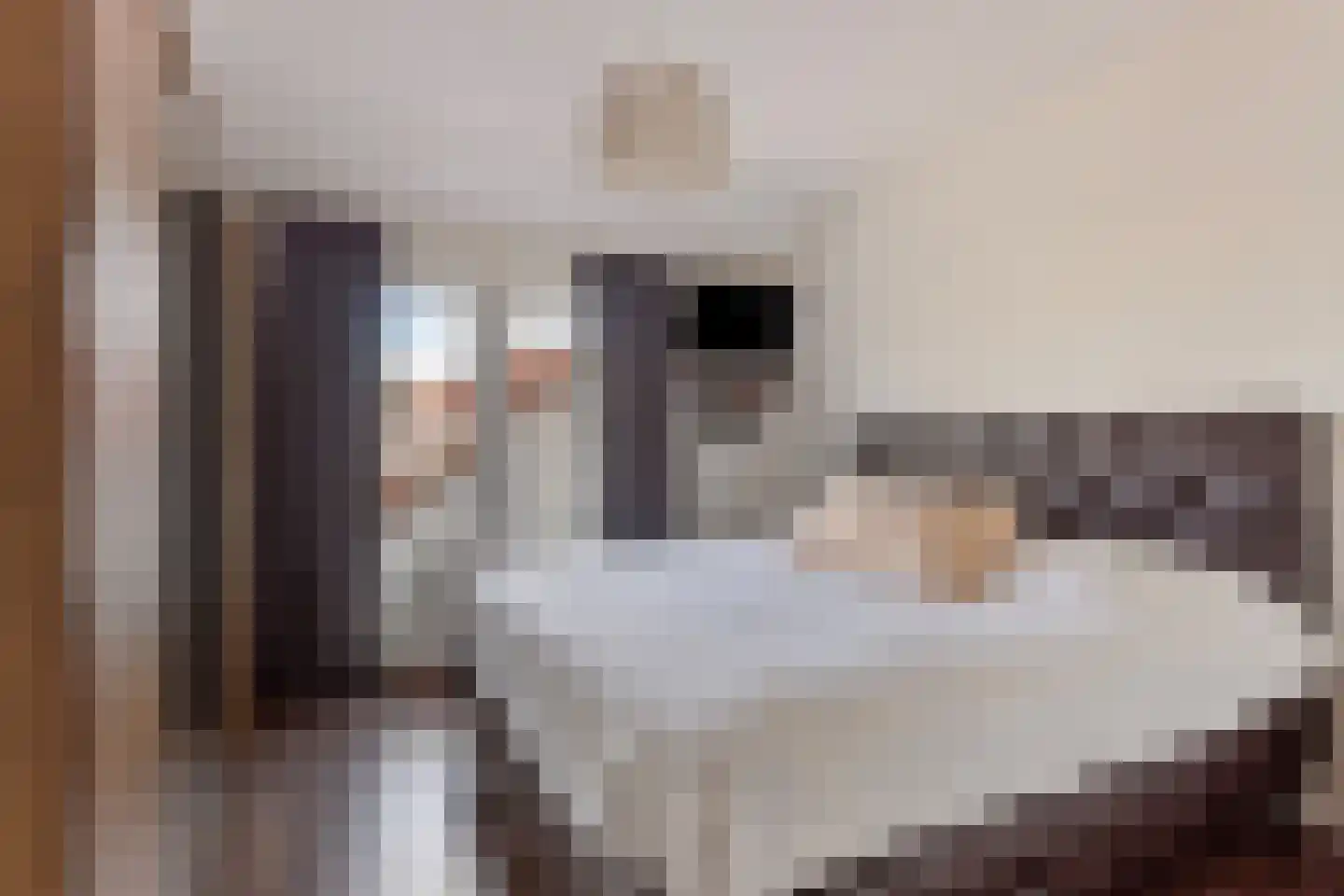 Pluto 200 Den Helder thumbnail 19