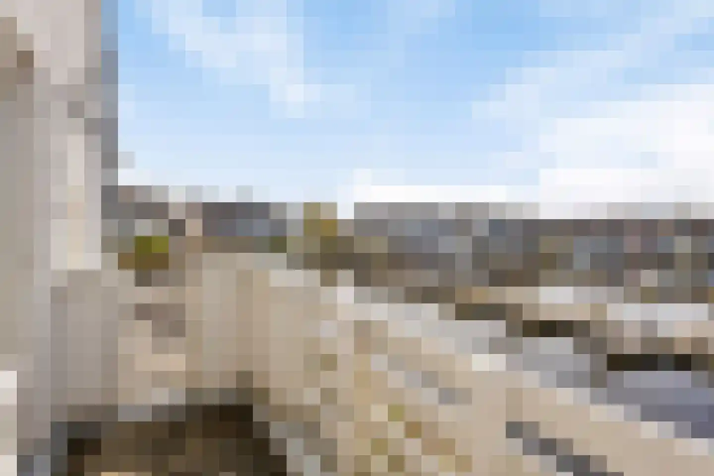 Pluto 200 Den Helder thumbnail 20