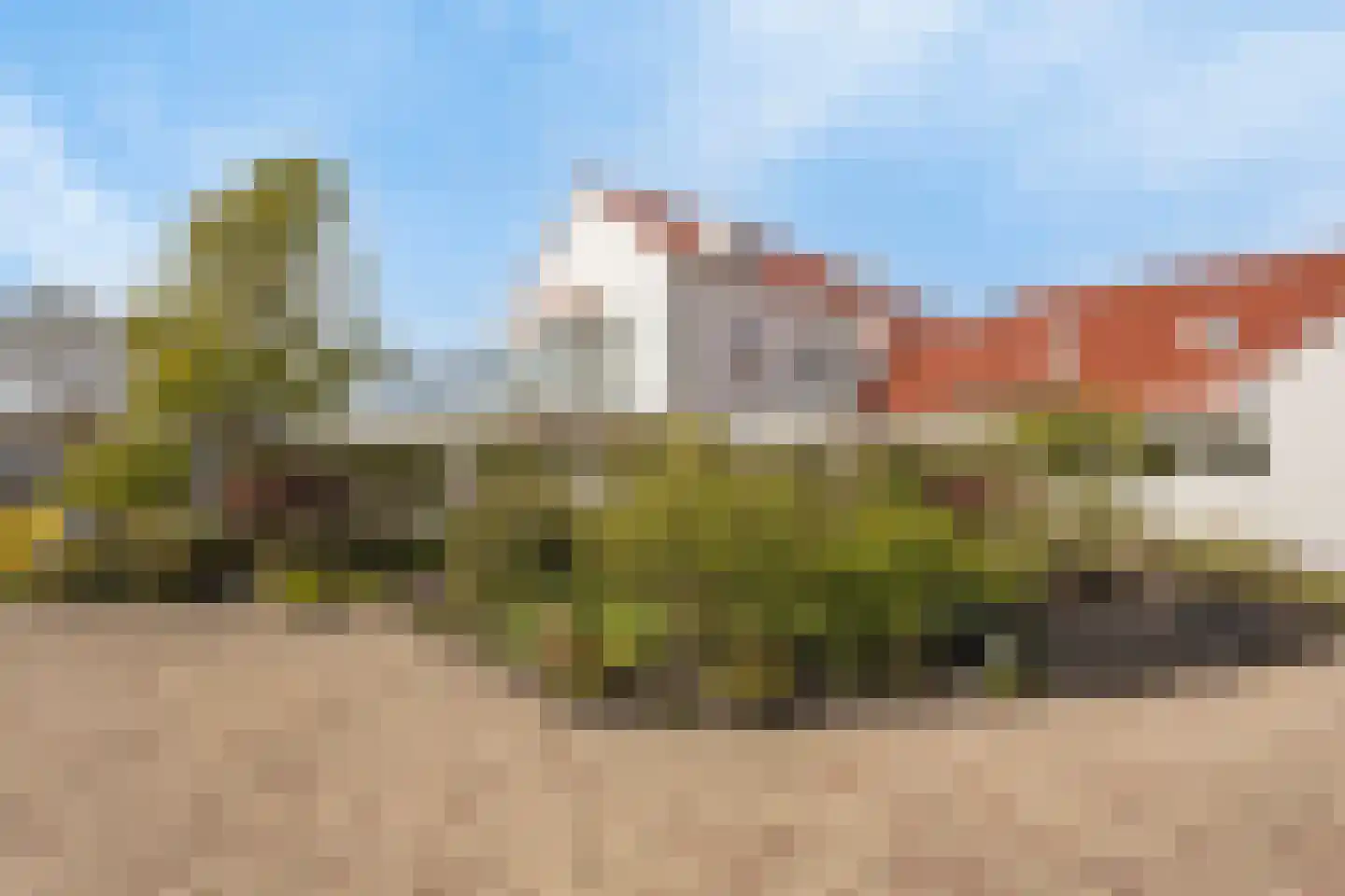 Pluto 200 Den Helder thumbnail 29